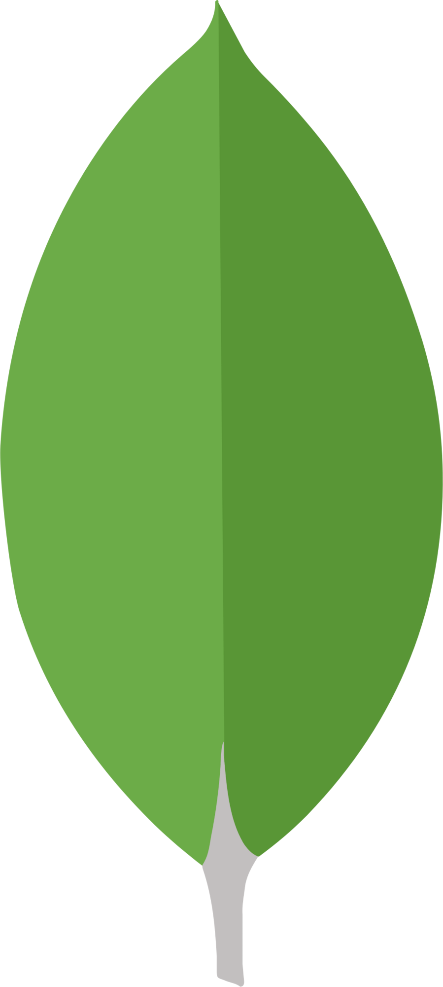 MongoDB logo